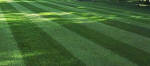 Mowed lawn image in Rochester NY