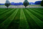 Landscaping picture with lawn care service