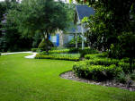 Well groomed lawn and landscaping.

Aaron of Landscape Solutions. Rochester NY. 14616

585-342-5296